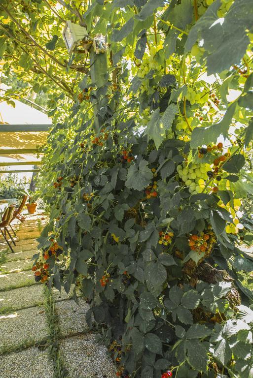 Villa Miranda Ortona Εξωτερικό φωτογραφία